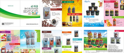 融合科技与美学 食品画册设计与定制化软件开发的双重创新